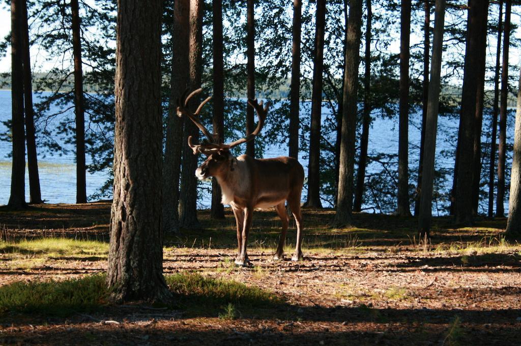 Lohijaerven Eraekeskus Otel Lohijärvi Dış mekan fotoğraf